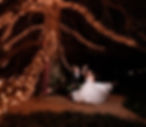 Bride and Groom dancing after wedding ceremony marriage with celebrant celebrations