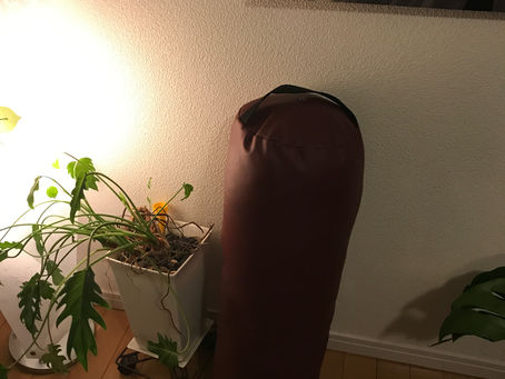 思ったよりも?いい仕事♪