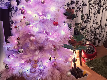 メリークリスマス♪