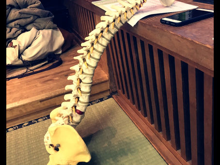 先日のセミナー♪