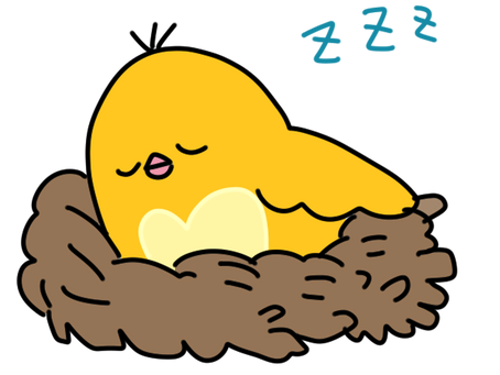 免疫力を高めましょう②
質のいい睡眠をとる為には?
