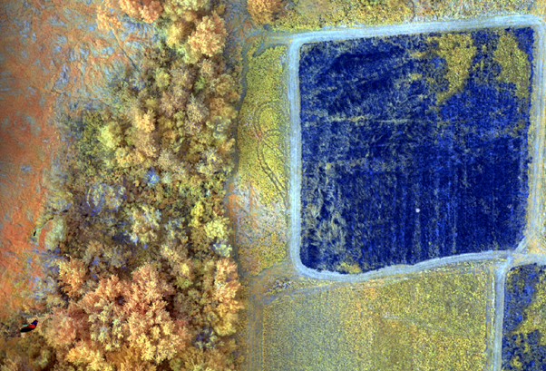 Figure 7: Another image of my band combination.