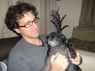 May Member Spotlight: Brian Tavares