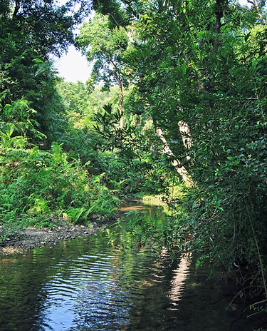 Reconnect with Nature