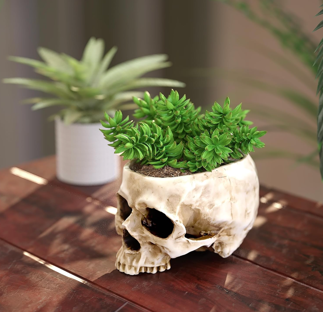 Skull planter