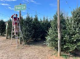 First grade trip to Yule Forest