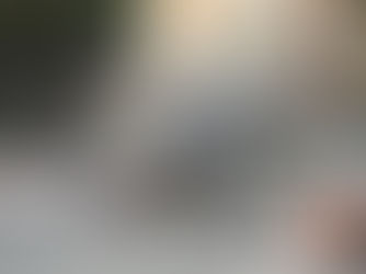 Formula 1 Monaco: Props for fun 