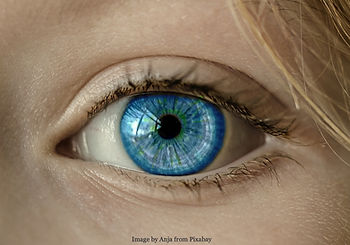 photo of a blue eye in a person with blonde hair