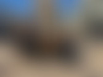 KOALICIJA DOMOLJUBNIH STRANAKA U PRIMORSKO-GORANSKOJ ŽUPANIJI