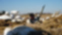 ALF09838.JPG