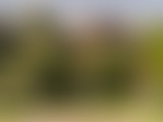 A violência discursiva no quotidiano