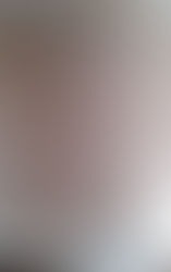 Sobre a liberdade de expressão na cultura brasileira