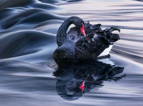 O Amor nosso de cada dia