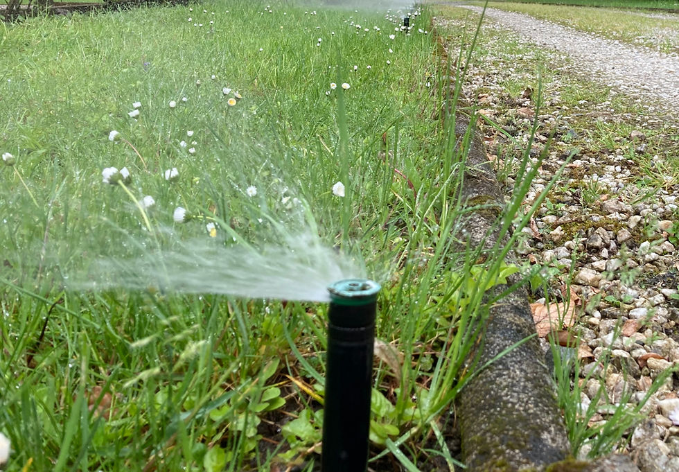 Service und Wiederinbetriebnahme der Bewässerung nach Eigentümerwechsel_edited.jpg