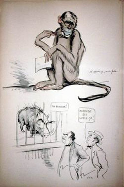 Album n.25 - Planche n.18