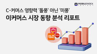 이커머스 시장 동향 분석 리포트