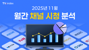 25년 11월 월간 채널 시청 분석