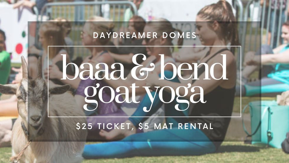 Baaaa & Bend Goat Yoga