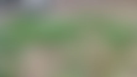 7月のアップデート!🌞