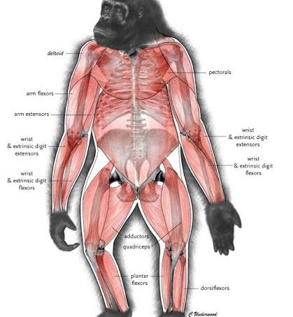 Spanning the Globe IV
