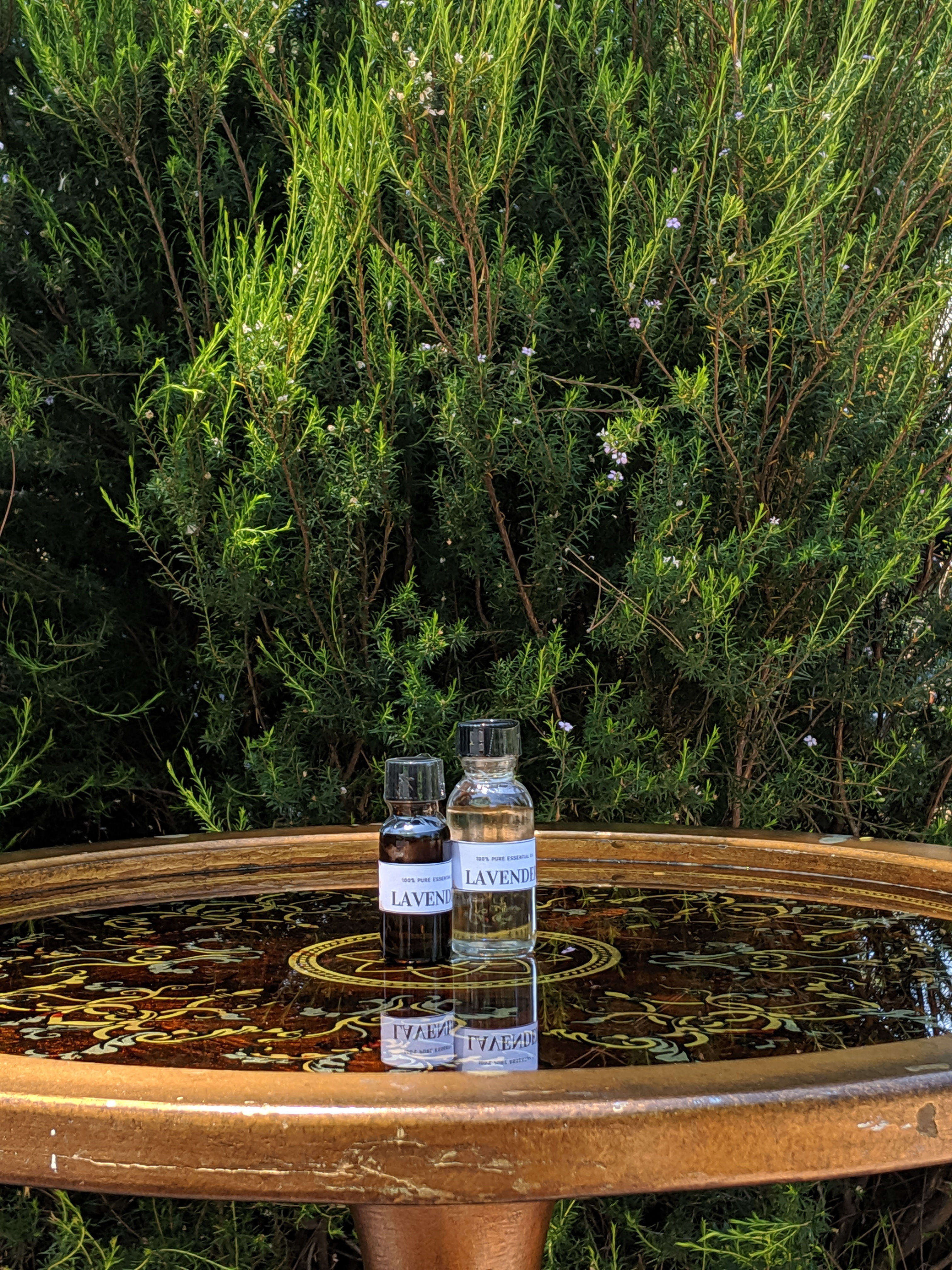 Lavender essential oil