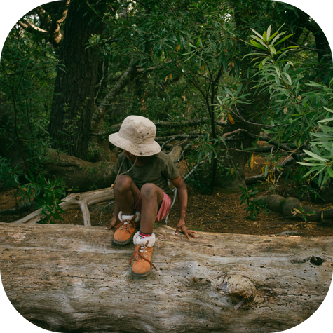 A child with ADHD explores nature and learns tools to help restore attention through nature.