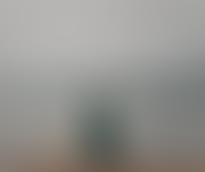 二足歩行の長所と短所