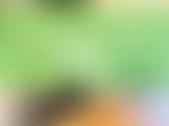 アンケートのお願い（結果）