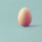 oeuf