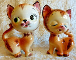 50452744_618499135272600_342729042653976