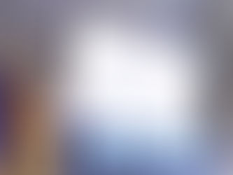 Sean Dominican SRL lanza PALMIGES en República Dominicana