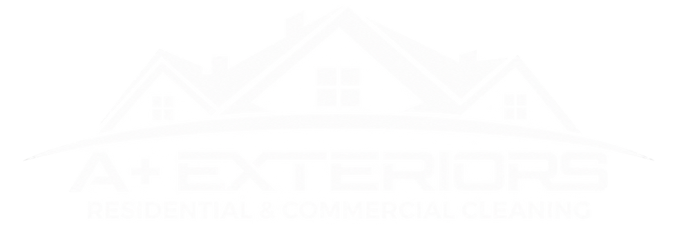 A Plus Logo White(no background).png