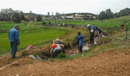 The Acequia Feeds Us All