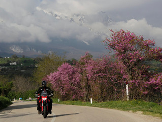 Italy - Part 1: Riding Italy's Backbone &
Seaside Vistas