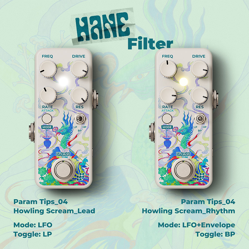 Hane Filter