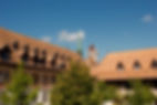 CollegeCalvin_edited_edited.jpg