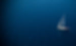 White sailboat on a calm blue ocean