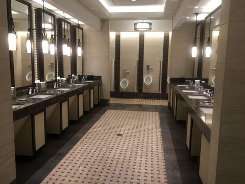 Elegant public restroom with mirrors, sinks, and urinals