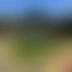 ADA-Accessible PIP Playground Installation – Phoenix Academy, Huntersville, NC