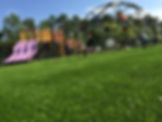 Artificial Turf Installation in Waxhaw, NC