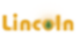 Lincoln energy solutions logo