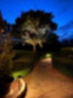 Outdoor path and tree with landscape lighting at night