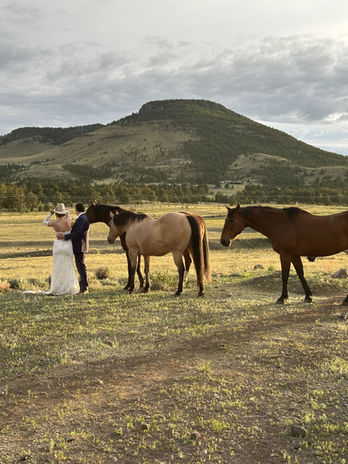 Couple kissing near horses during wedding; mountain landscape background