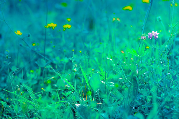 beautiful-floral-spring-abstract-background-of-nat-2022-01-28-12-32-34-utc-min.jpg