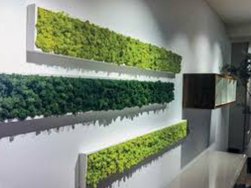 Screen Shot 2022-07-16 at 12.32.11 PM.png