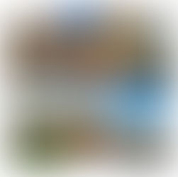 December 25, 2023- January 1, 2024