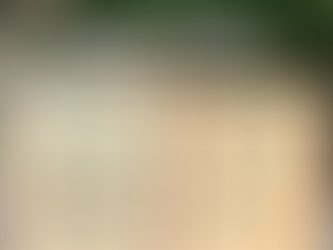 Integral Ecological Education: a school that listens to the breath of the earth