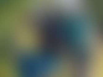 La scuola si diffonde nel territorio con Giandomenico Fortino