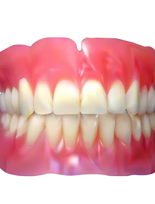 Protesis Sup_Inf.png