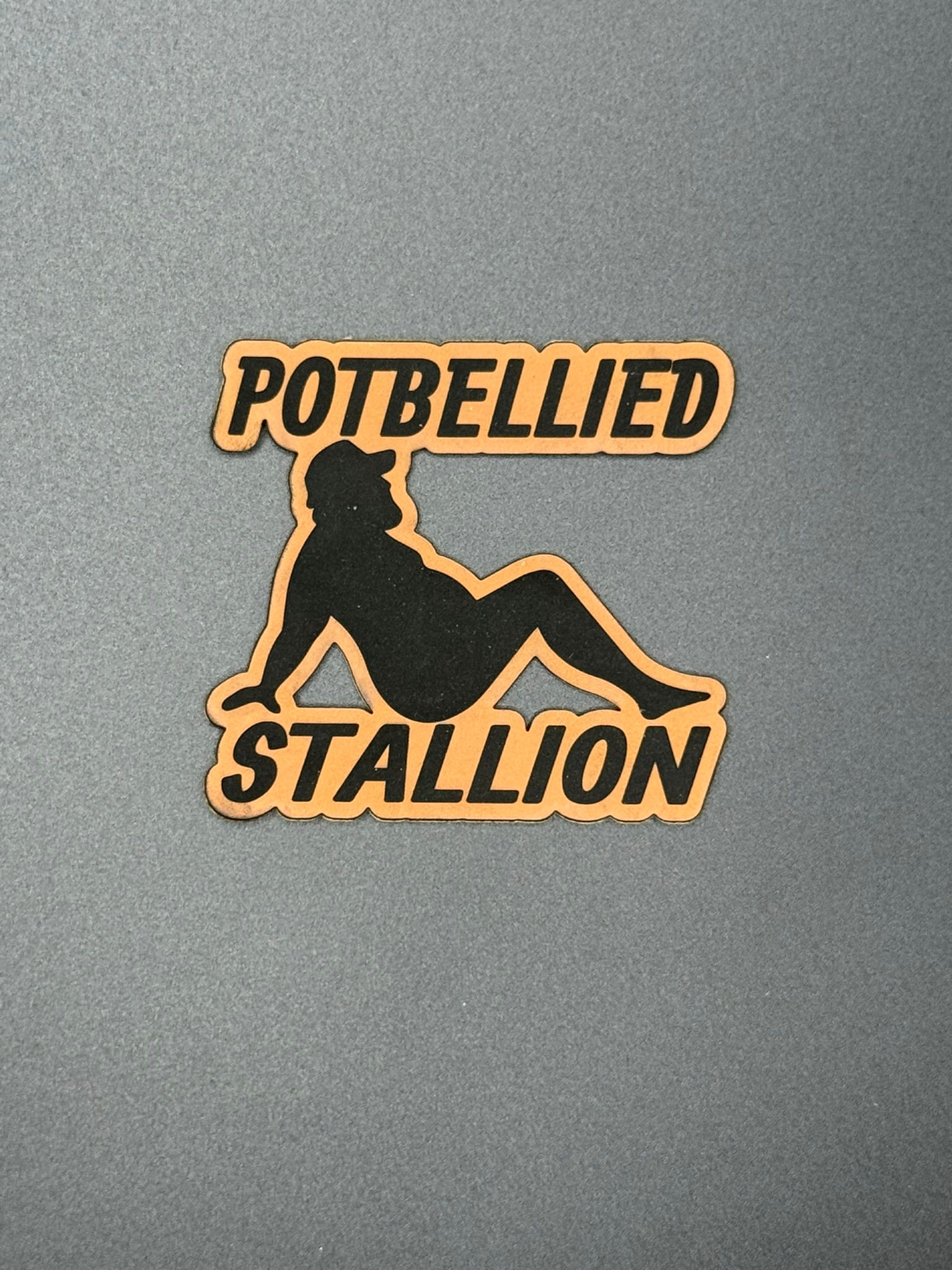 POTBELLIED STALLION